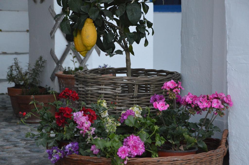 Hotel Porto Loutro On The Beach מראה חיצוני תמונה